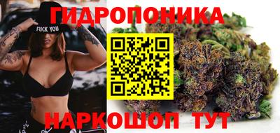 не бодяженный Бийск