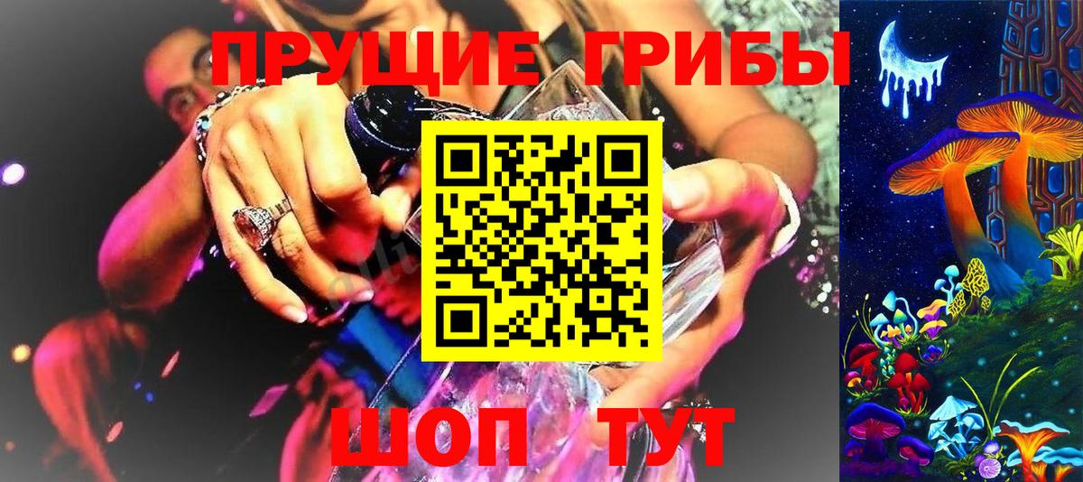 Галлюциногенные грибы прущие грибы Камень-на-Оби