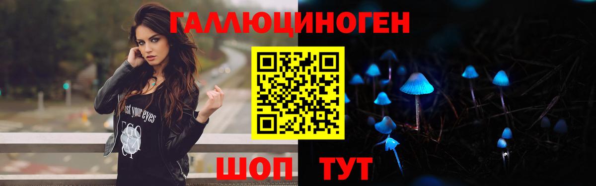 Псилоцибиновые грибы прущие грибы  Псилоцибиновые грибы Psilocybine cubensis  Камень-на-Оби  Вход с VPN 